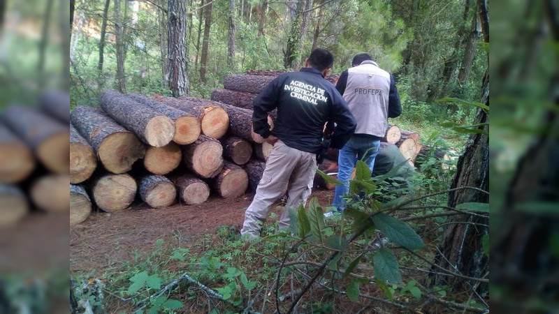 FGR investiga deforestación por cambio de uso de suelo en Michoacán