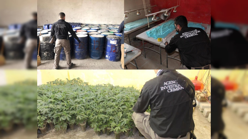 En 72 Horas FGR Ejecuta 52 Cateos Y Asegura Dos Toneladas De Marihuana