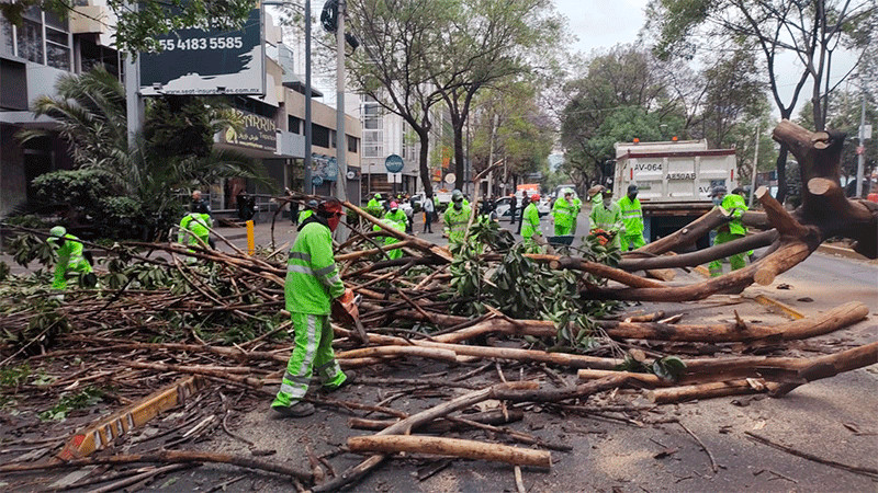 Se Activa Alerta Amarilla En Ciudad De M Xico Por Fuertes Vientos