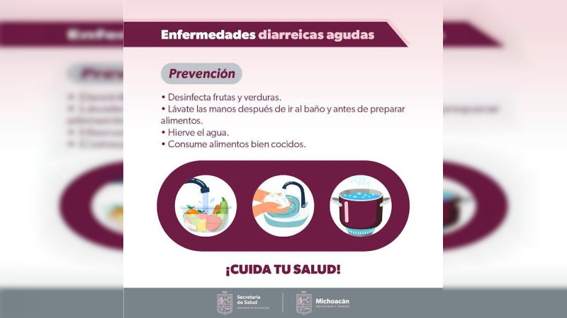 En Temporada De Calor Prev N Enfermedades Gastrointestinales Con Estos