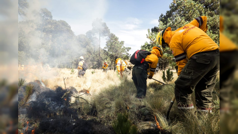 Hay 205 incendios forestales activos en el país 113 mil 790 hectáreas