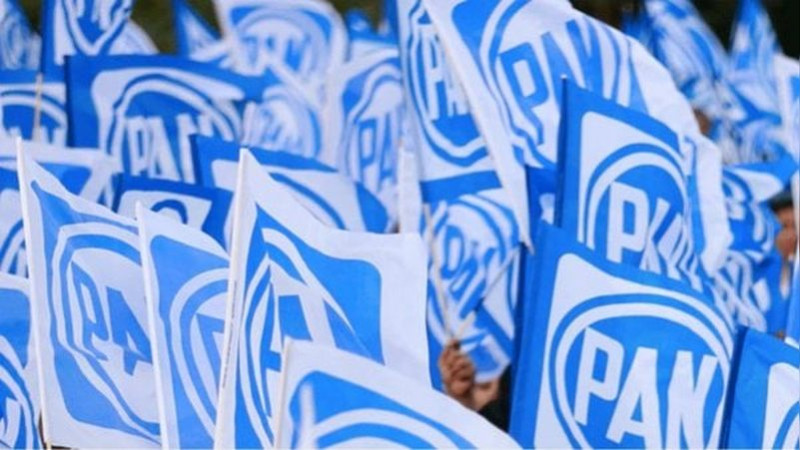 Pan Definir El S Bado Proceso De Renovaci N De Dirigencia Nacional