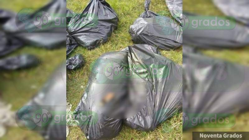 Abandonan Restos Humanos Dentro De Bolsas De Basura En Celaya