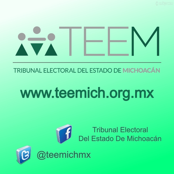 
Tribunal Electoral del Estado de Michoacán: TEEM