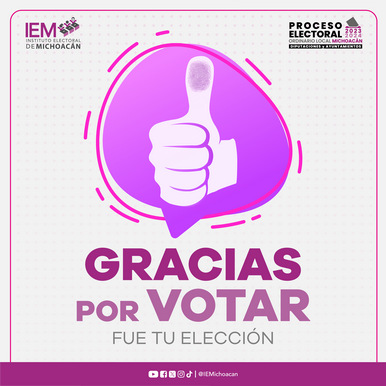 Instituto Electoral de Michoacán