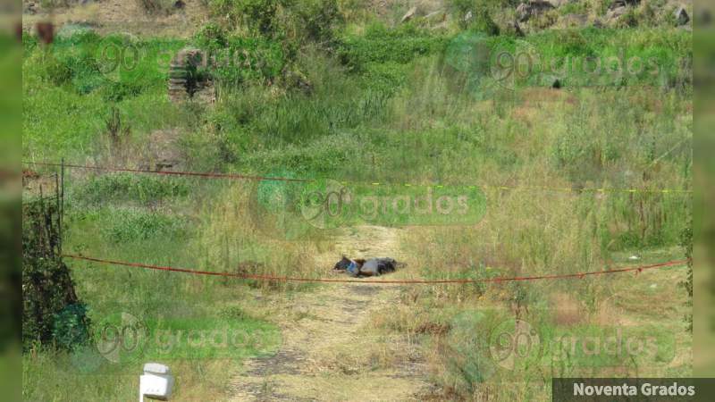 Localizan cadáveres de dos ejecutados, en una huerta en Jacona - Foto 1 