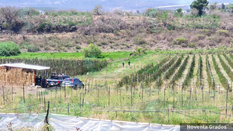 Localizan cadáveres de dos ejecutados, en una huerta en Jacona - Foto 2 