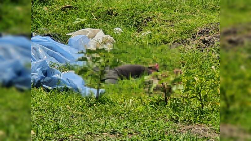 Hallan ejecutado a "La Zarigüeya" en un potrero de la rinconada, municipio de Zamora 