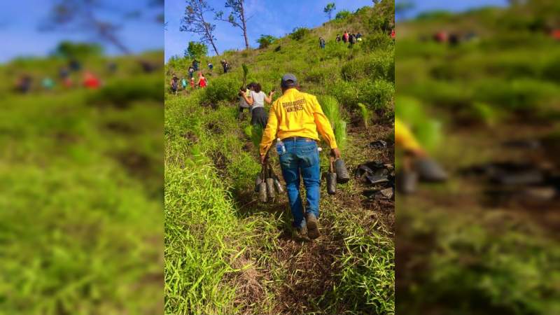 Continúa el Programa Municipal de Reforestación 2021 en Uruapan, Michoacán