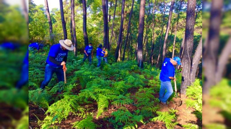 Continúa el Programa Municipal de Reforestación 2021 en Uruapan, Michoacán