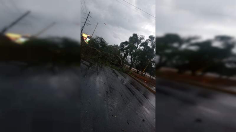 Afectaciones tras tromba en la ciudad de Uruapan, Michoacán  