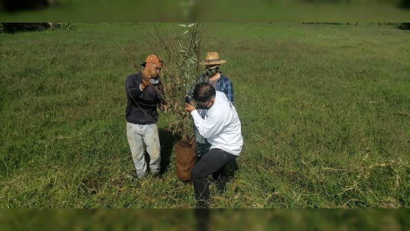 Reforestan Parque Urbano Ecológico de Uruapan