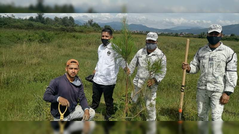 Reforestan Parque Urbano Ecológico de Uruapan