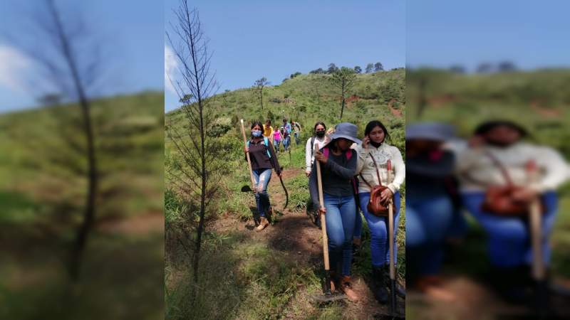 Inician trabajos de mantenimiento y reforestación en el cerro de la Cruz en Uruapan