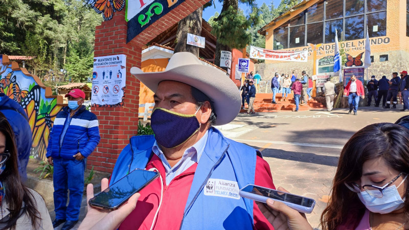 Cerca de 10 mil turistas han visitado el Santuario El Rosario, en Michoacán 