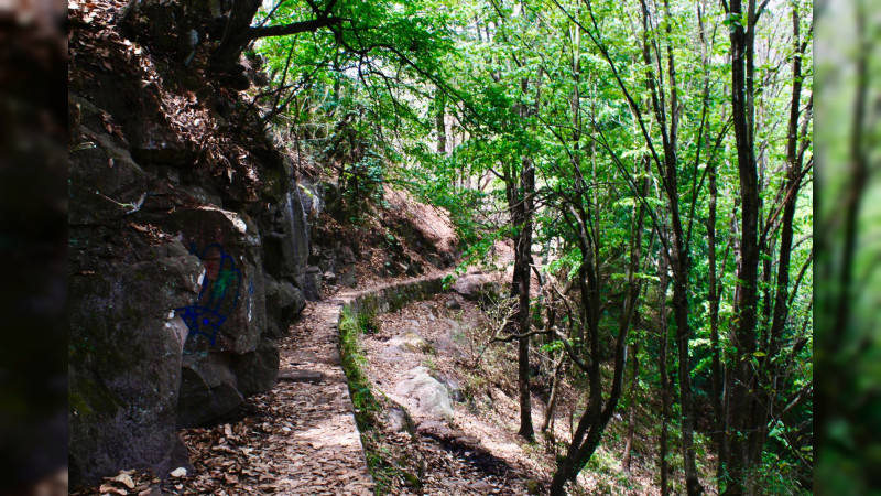 SECMA invita a preservar el hábitat del ajolote Michoacano en las “Cañadas del Río Chiquito”