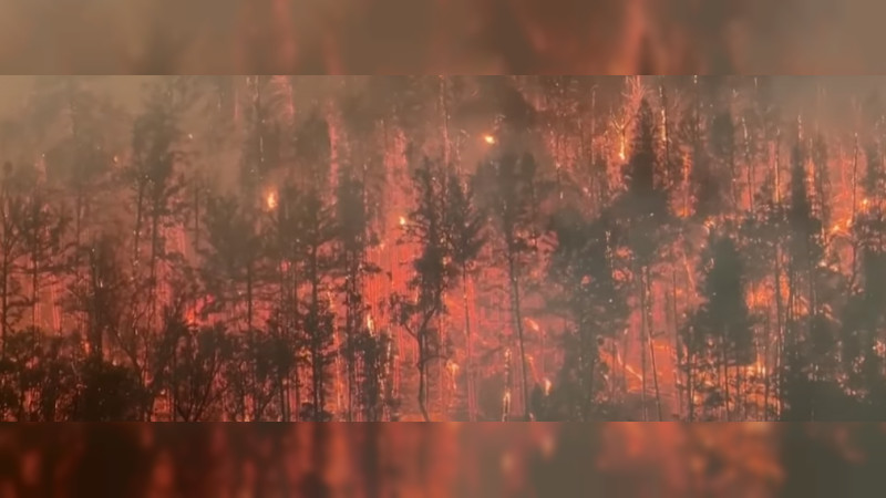 Incendios Forestales En California, Idaho Y Montana, Estados Unidos