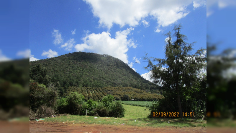 Acuerdan en favor de los bosques de La Cantera, Michoacán