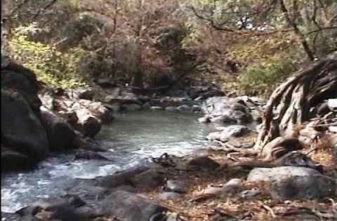 Sanear cuenca del río Duero, vital para trece municipios de Michoacán: Adriana Hernández - Foto 0 