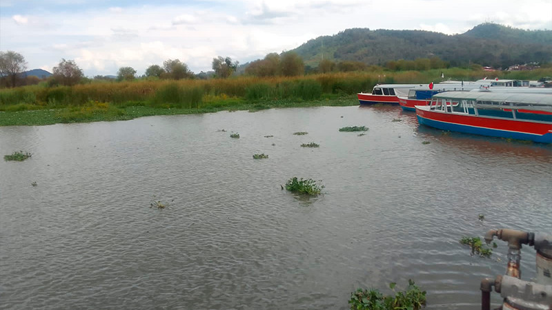 Listos los muelles del lago de Pátzcuaro para Noche de Muertos: Compesca