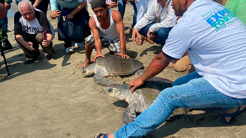 Expo Tortuga Marina 2022 arranca en Playa Azul, Michoacán 