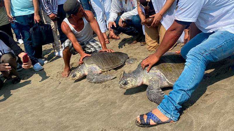 Expo Tortuga Marina 2022 arranca en Playa Azul, Michoacán 