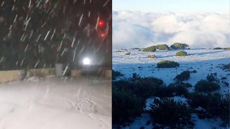 Cae primer nevada en zona montañosa de Nuevo León; casas y autos se pintaron de blanco 