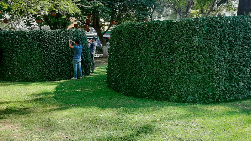 Llegó el árbol monumental a la Villa Navideña