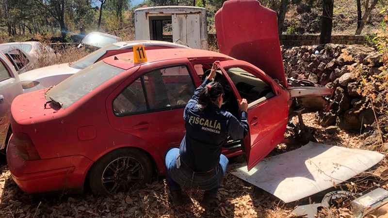 Descubren y aseguran 11 vehículos robados, en Zacapu, Michoacán 