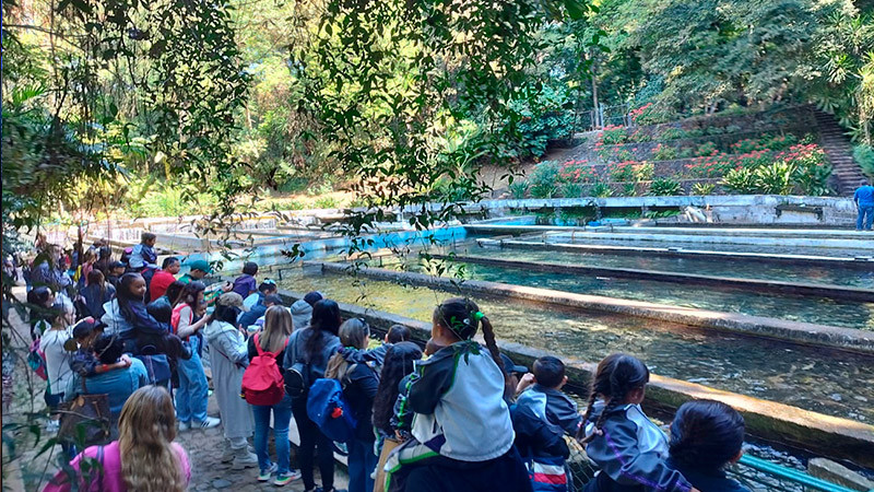 Parque Nacional de Uruapan registra nutrida participación en talleres de educación ambiental 