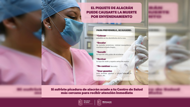 Emite Ssm Recomendaciones Para Prevenir Picaduras De Alacrán 8779