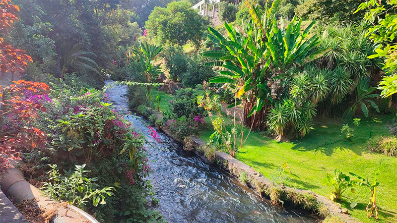 Nombran San Pedro, Uruapan, como primer Barrio Mágico de Michoacán 