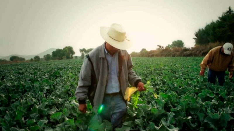 La transformación del campo iniciada por el actual gobierno debe continuar: Suárez Carrera 