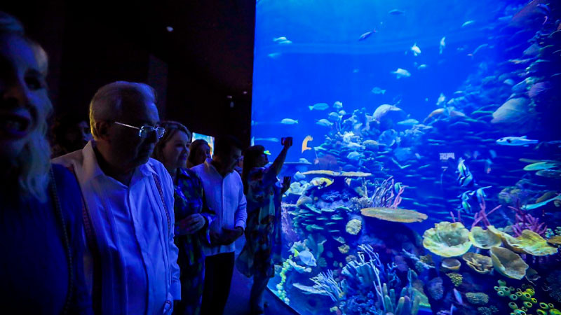 Gran Acuario Mazatlán “Mar de Cortés”, una realidad para bien del turismo de Sinaloa y México: Sectur 