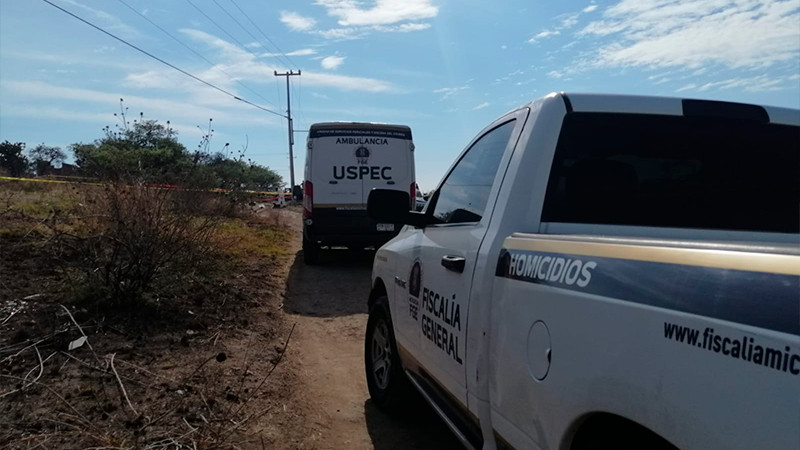 Muere joven ciclista tras ser atacada por un enjambre de abejas en Zacapu, Michoacán 