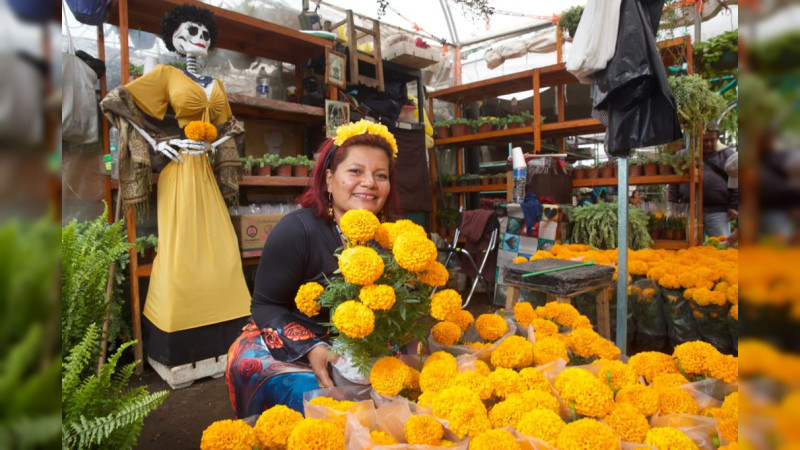 Producción de flor de cempasúchil en México incrementará a 2 mil 448 hectáreas en 2023: Sader