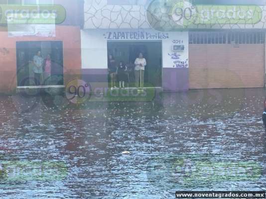 Intensa Lluvia Y Granizada Provoca Caída De árboles E Inundaciones En Morelia