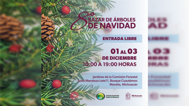 ¿Dónde comprar tu árbol de Navidad natural? Cofom anuncia su tradicional bazar 