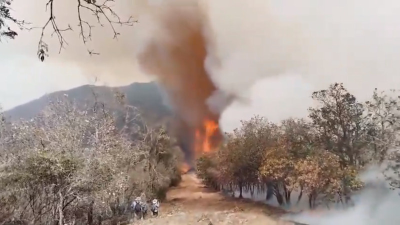 Cinco los comuneros fallecidos tras combatir incendio de bosque en Quiaviní, Oaxaca 