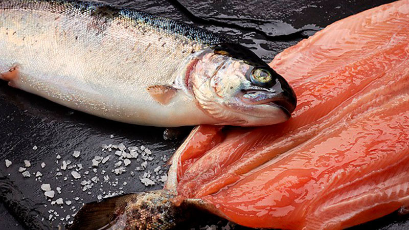 Mañana, último día de venta de pescados y mariscos en módulos de la Compesca, en Morelia, Michoacán  