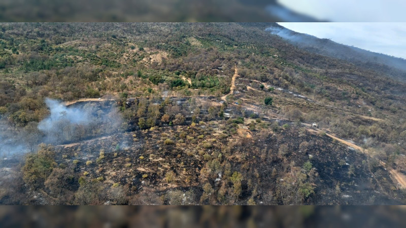 Brigadistas atienden 6 incendios forestales en Michoacán