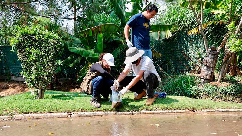 Agua y lodo vertidos por el OOAPAS en el Zoo de Morelia podrían tener hierro y azufre