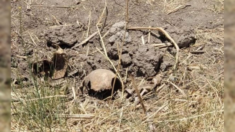 Hallan los cuerpos de dos muejeres en fosas clandestinas en José Sixto Verduzco, Michoacán