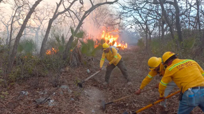 Oaxaca registra 24 incendios forestales activos 