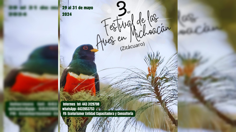 Conoce todo sobre el mundo de las aves en este festival de Zitácuaro