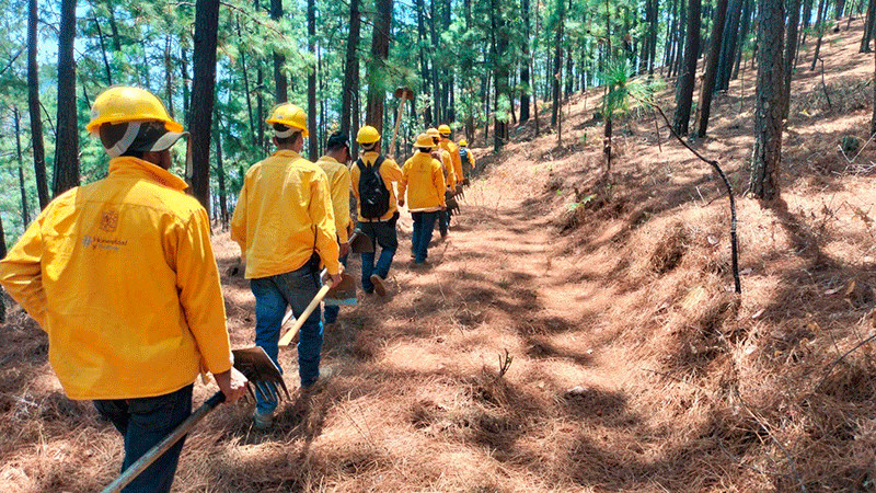 Controlado un 80 % incendio forestal en Hidalgo: Cofom 