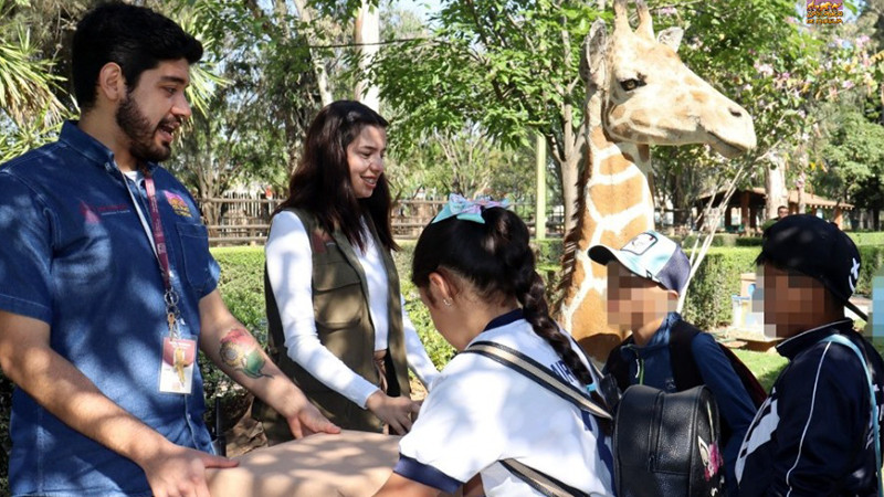 Conoce los talleres didácticos del Zoo de Morelia para fomentar el cuidado ambiental