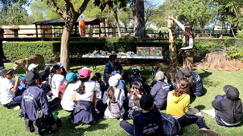 Conoce los talleres didácticos del Zoo de Morelia para fomentar el cuidado ambiental