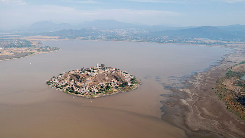 Plantarán 1.5 millones de árboles para salvar el lago de Pátzcuaro 