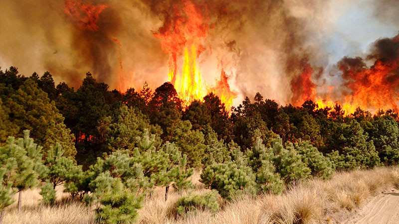 Se registran 300 incendios en Puebla; se posiciona como quinto lugar nacional en incendios forestales 